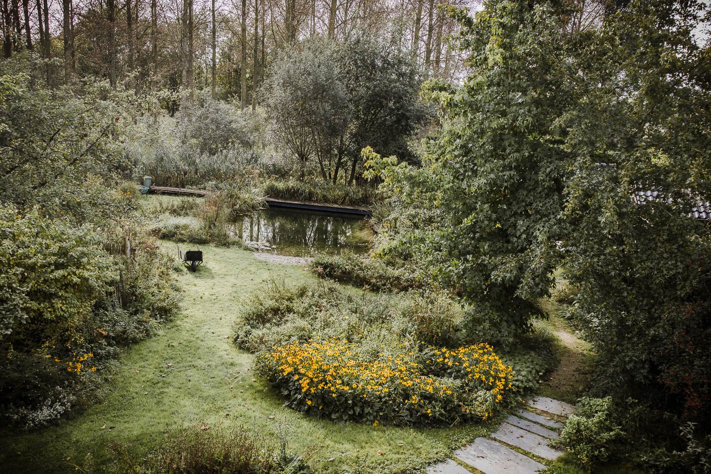 Wandelpad door de natuur bij de Schelde